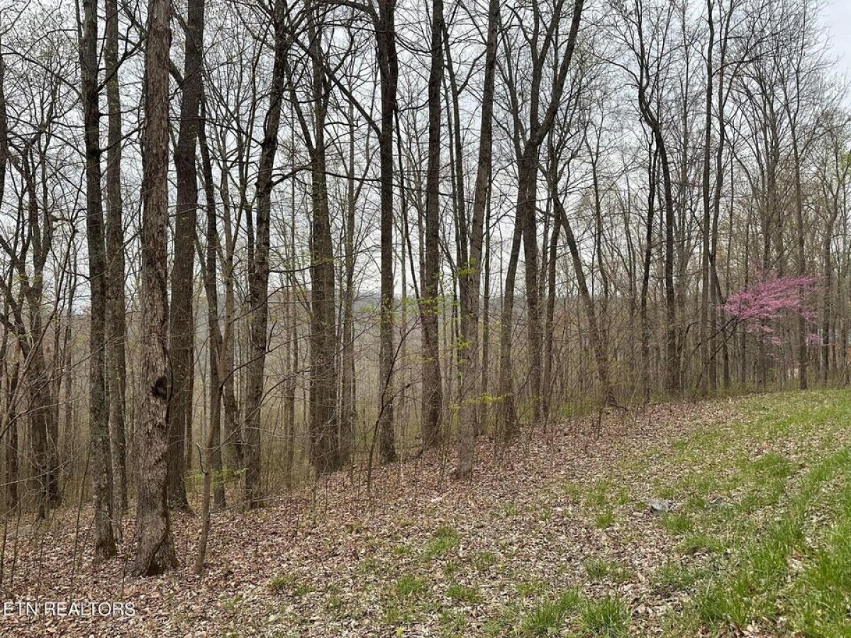 Picture of Residential Land For Sale in Jamestown, Tennessee, United States