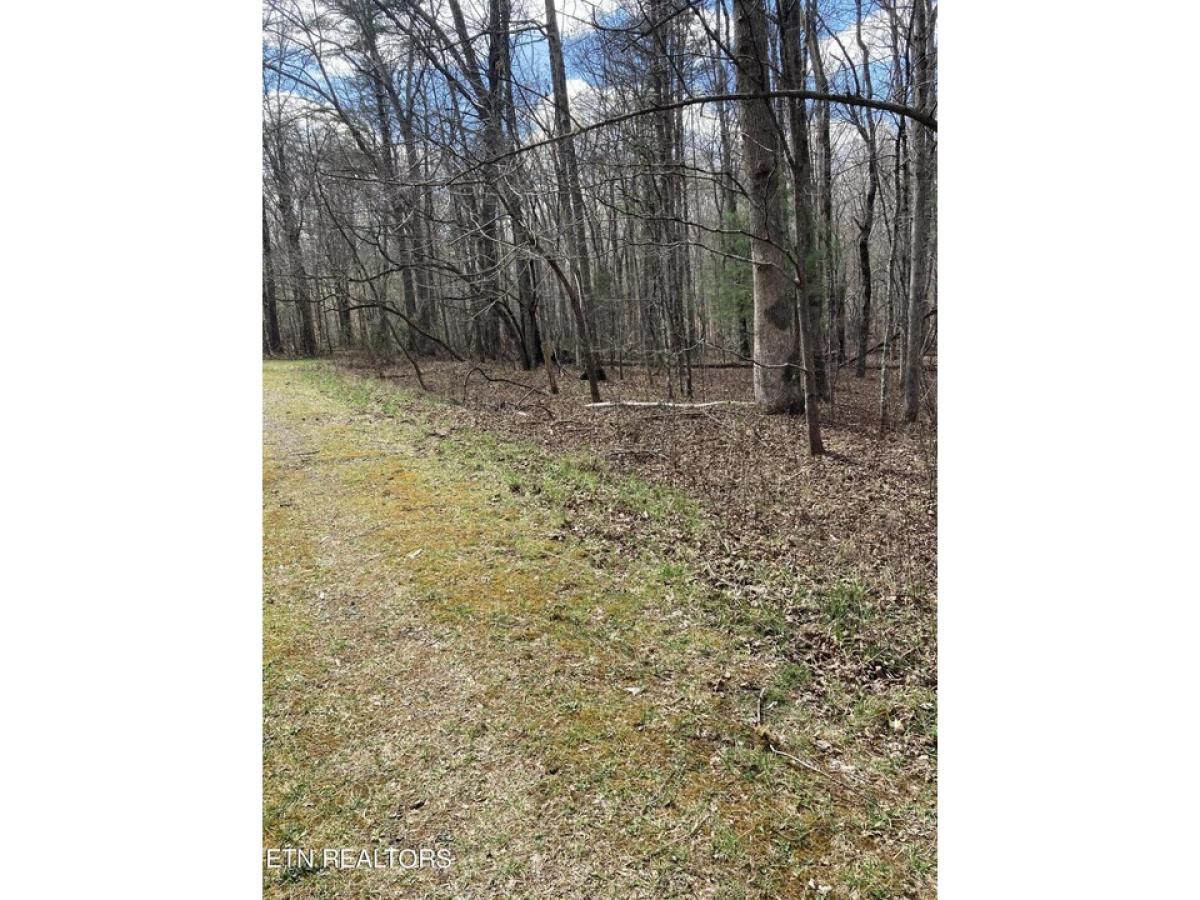 Picture of Residential Land For Sale in Fairfield Glade, Tennessee, United States