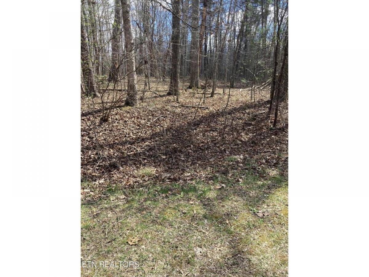 Picture of Residential Land For Sale in Fairfield Glade, Tennessee, United States