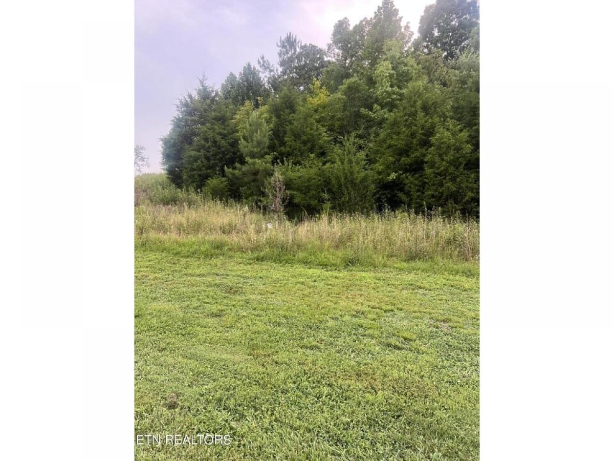 Picture of Residential Land For Sale in Loudon, Tennessee, United States