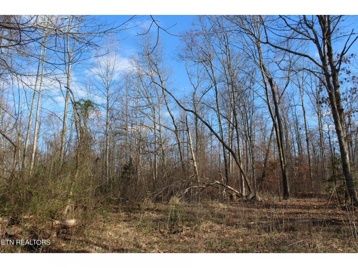 Picture of Residential Land For Sale in Jamestown, Tennessee, United States