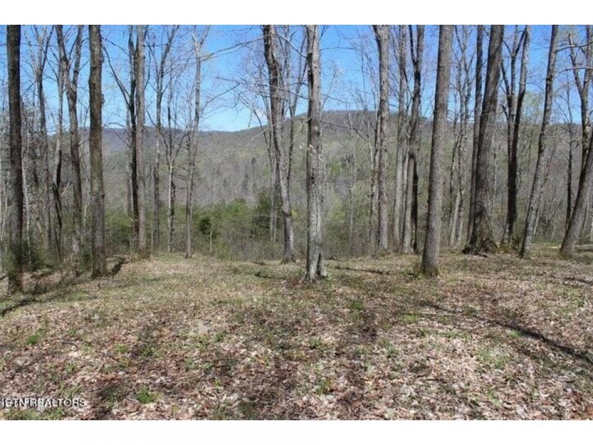 Picture of Residential Land For Sale in Jamestown, Tennessee, United States