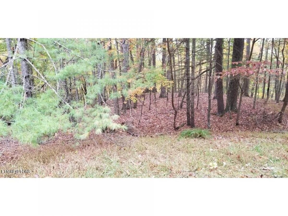 Picture of Residential Land For Sale in Fairfield Glade, Tennessee, United States