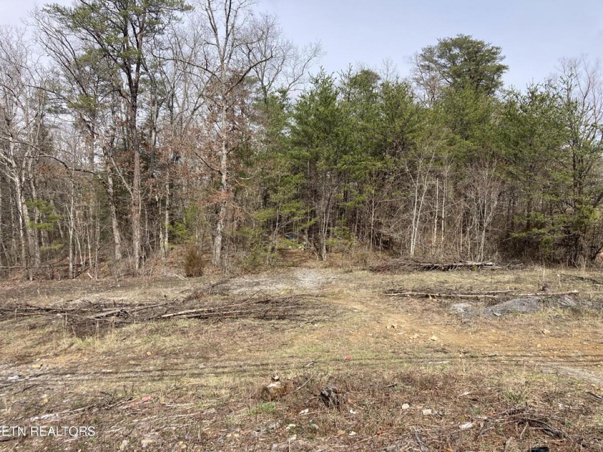 Picture of Residential Land For Sale in Crossville, Tennessee, United States