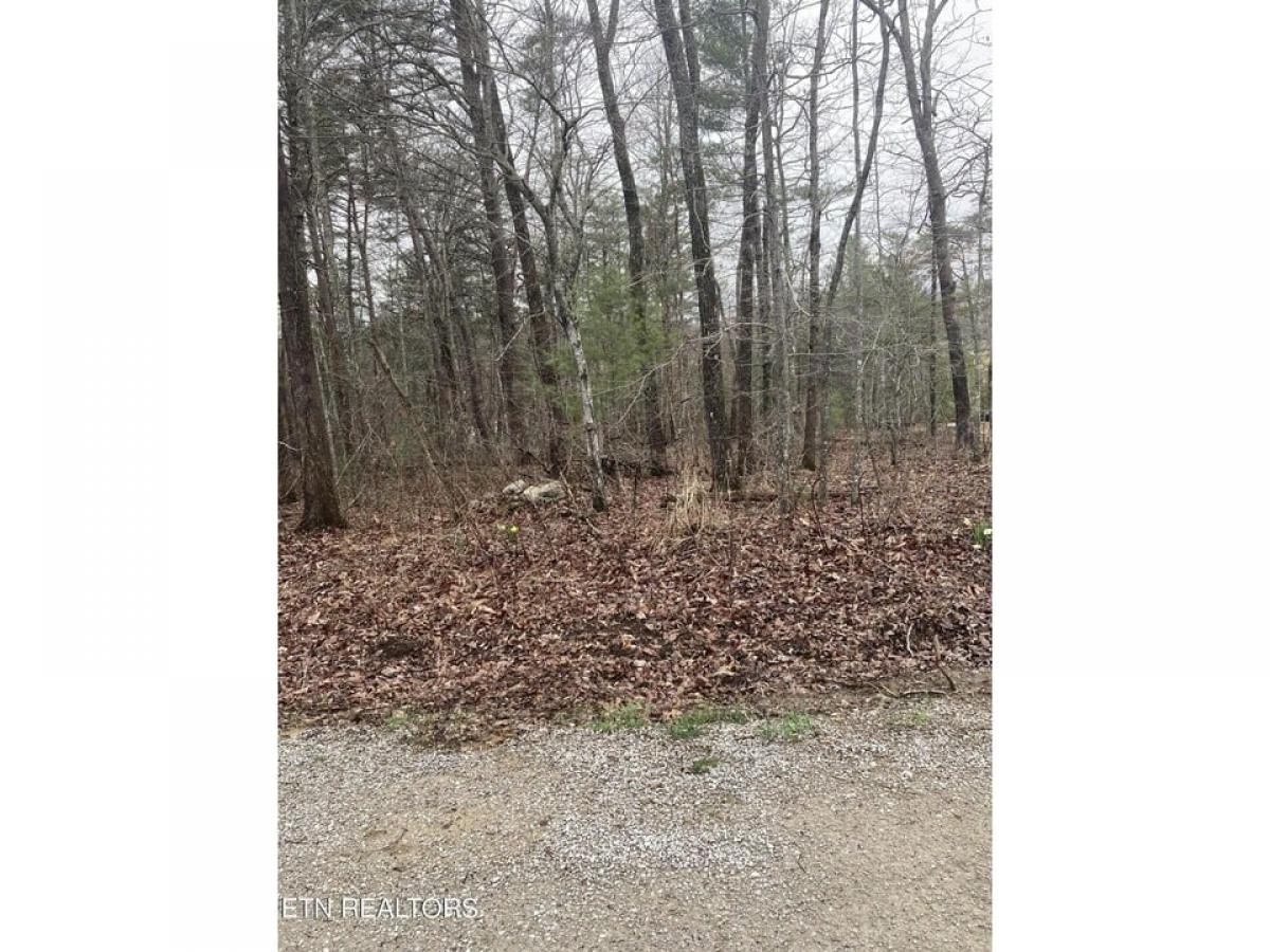 Picture of Residential Land For Sale in Fairfield Glade, Tennessee, United States