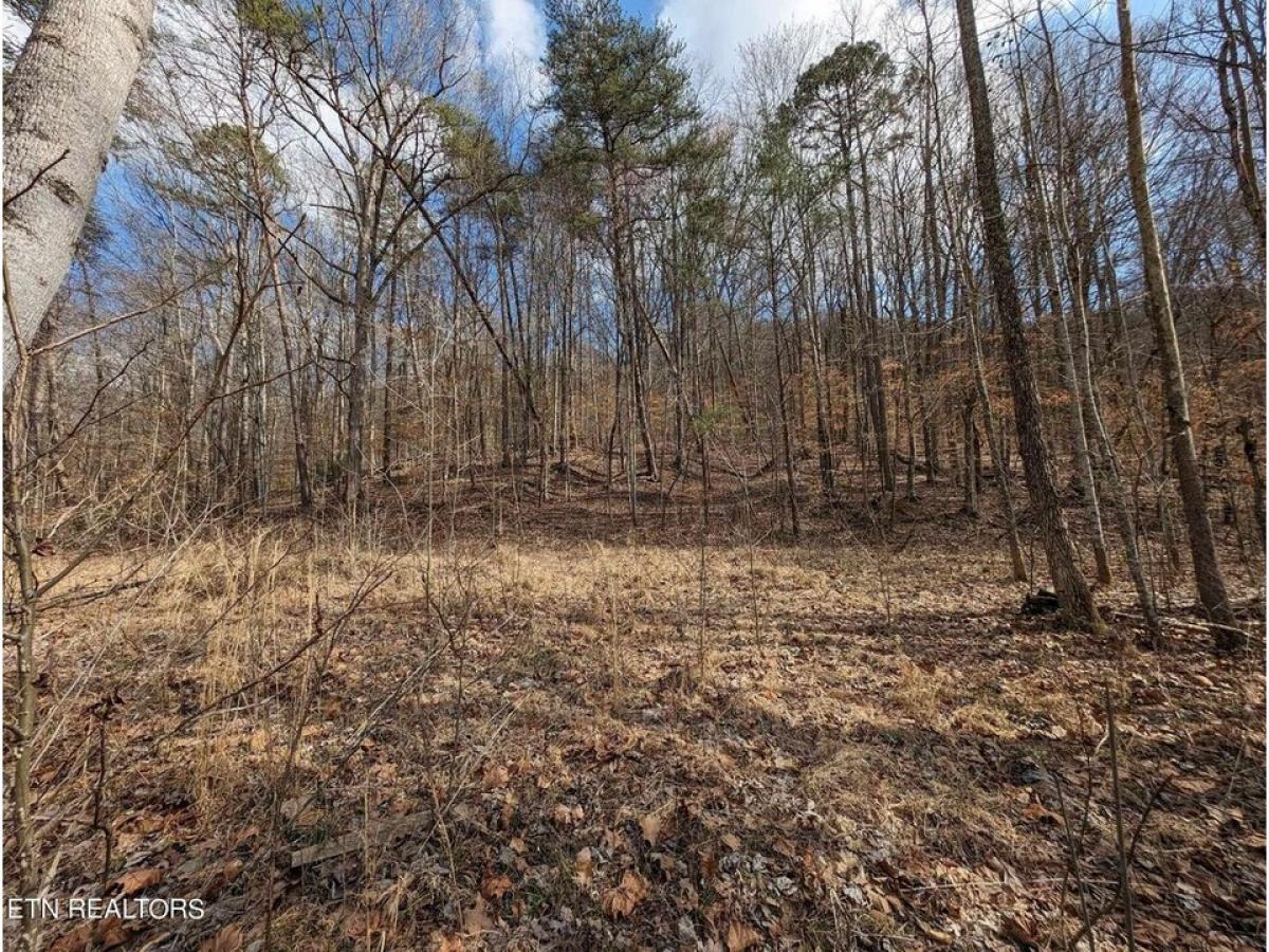 Picture of Residential Land For Sale in Jamestown, Tennessee, United States