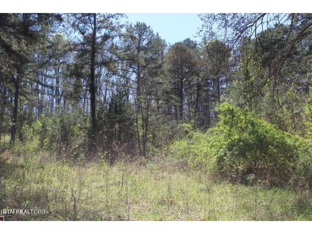 Picture of Residential Land For Sale in Jamestown, Tennessee, United States