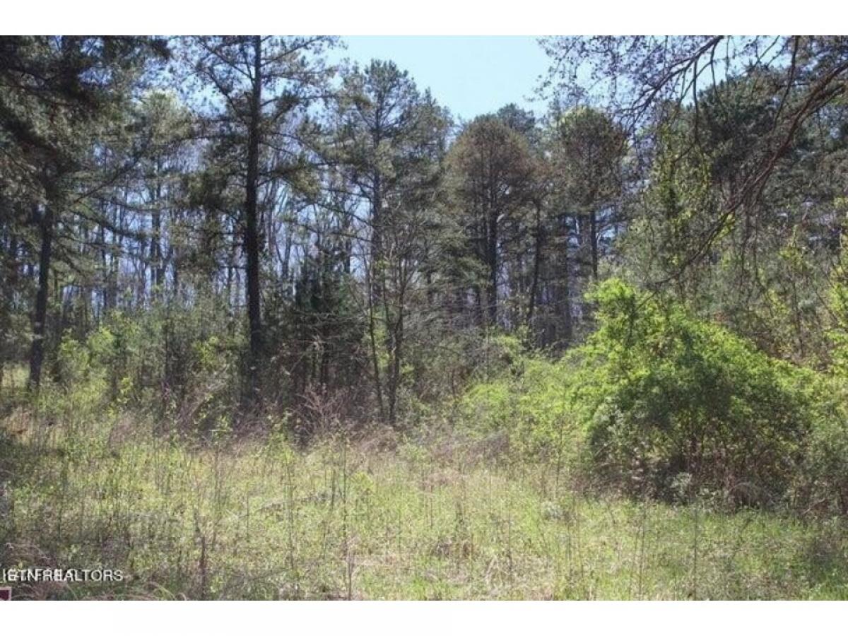 Picture of Residential Land For Rent in Jamestown, Tennessee, United States