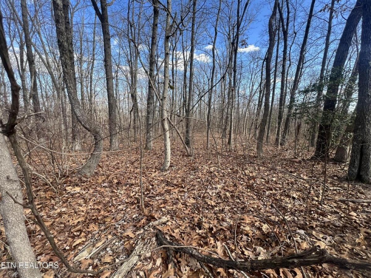 Picture of Residential Land For Sale in Crab Orchard, Tennessee, United States