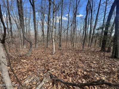 Residential Land For Sale in Crab Orchard, Tennessee