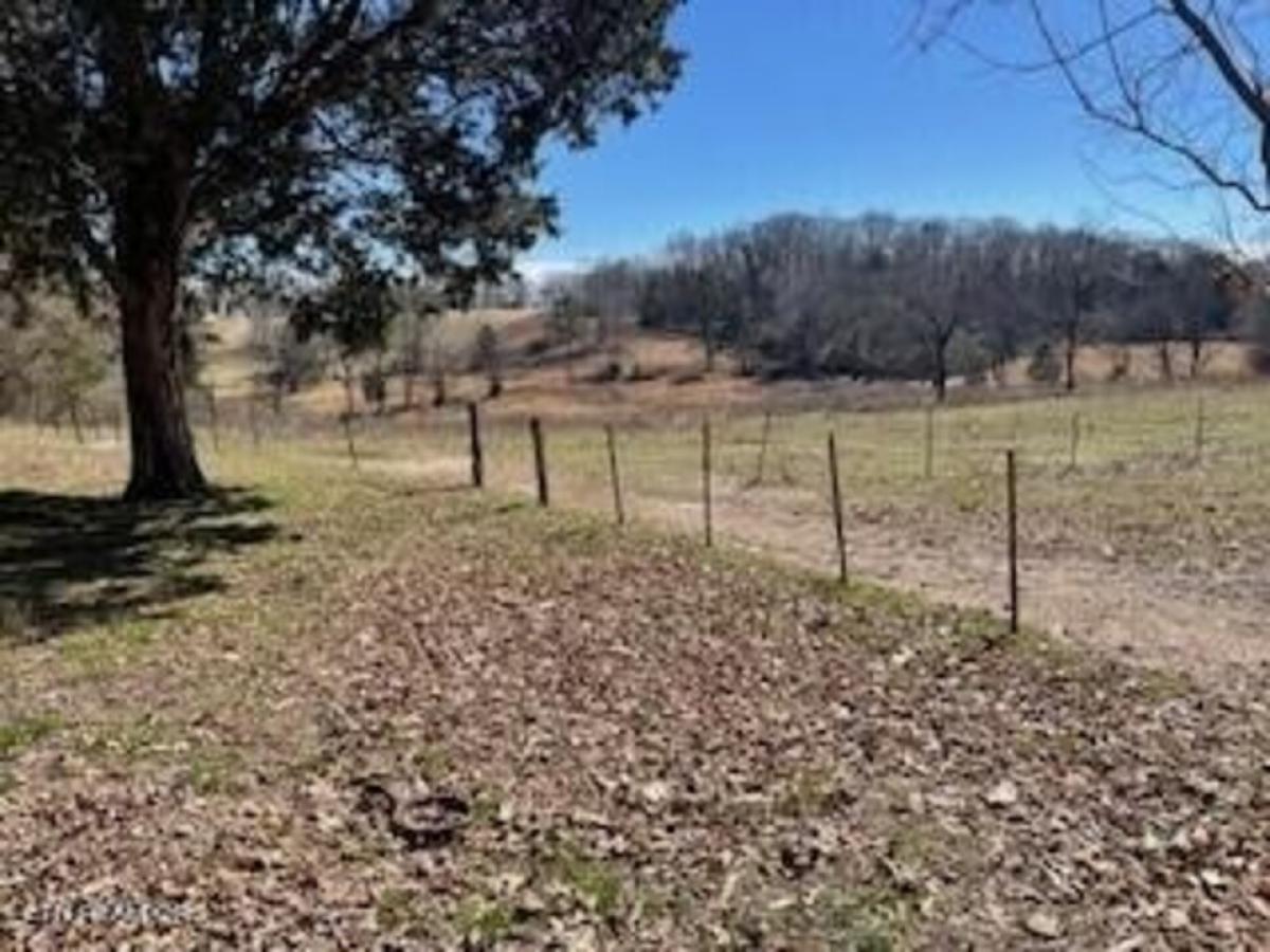 Picture of Residential Land For Sale in Loudon, Tennessee, United States