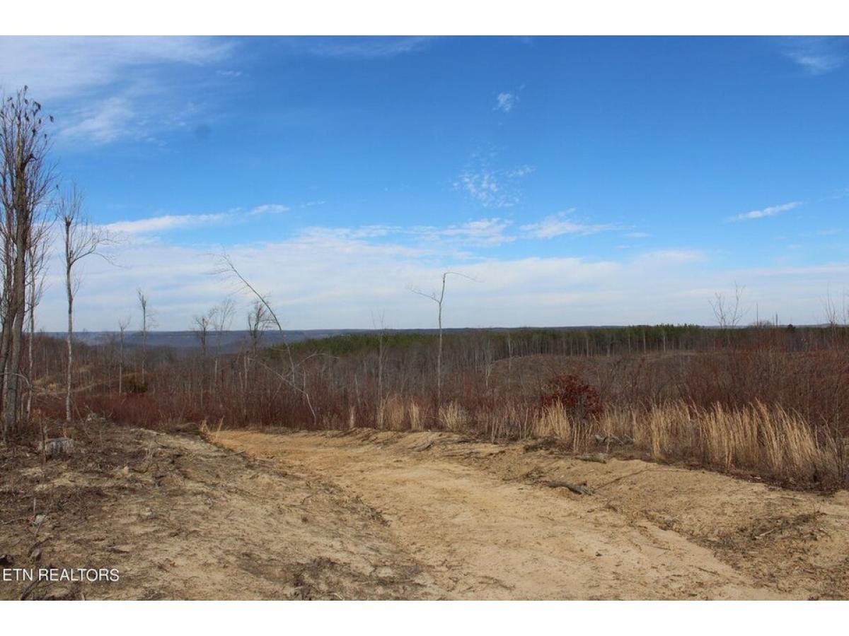 Picture of Residential Land For Sale in Jamestown, Tennessee, United States