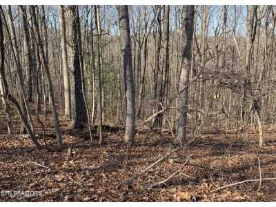 Residential Land For Sale in Fairfield Glade, Tennessee