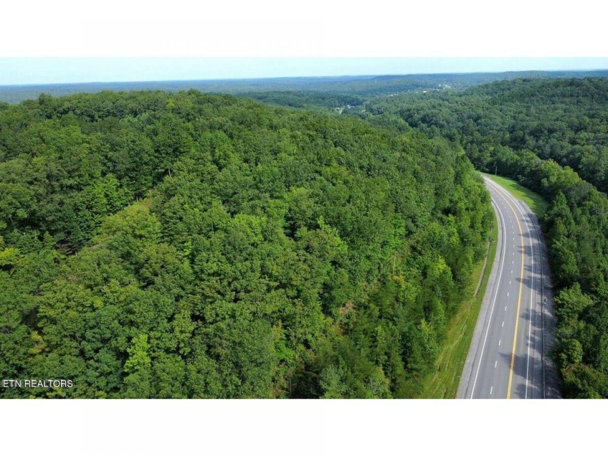 Picture of Residential Land For Sale in Sunbright, Tennessee, United States