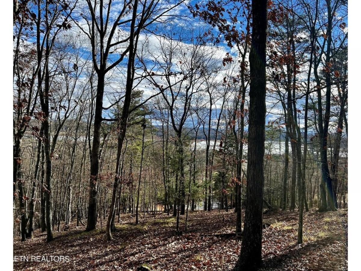 Picture of Residential Land For Sale in Mooresburg, Tennessee, United States