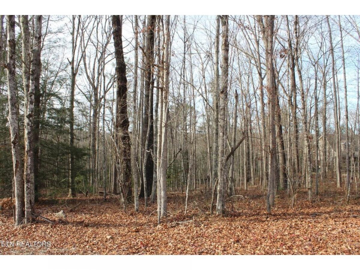 Picture of Residential Land For Sale in Jamestown, Tennessee, United States