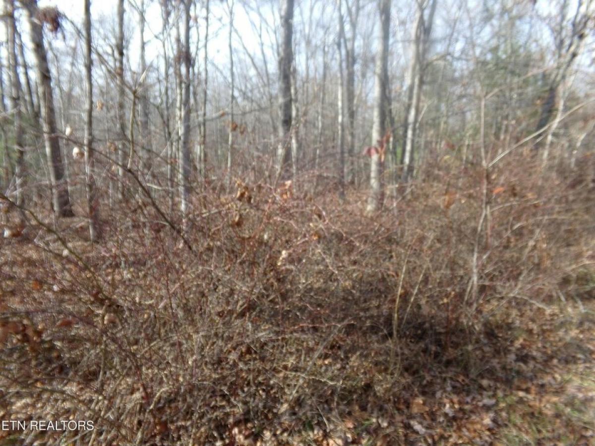 Picture of Residential Land For Sale in Crossville, Tennessee, United States