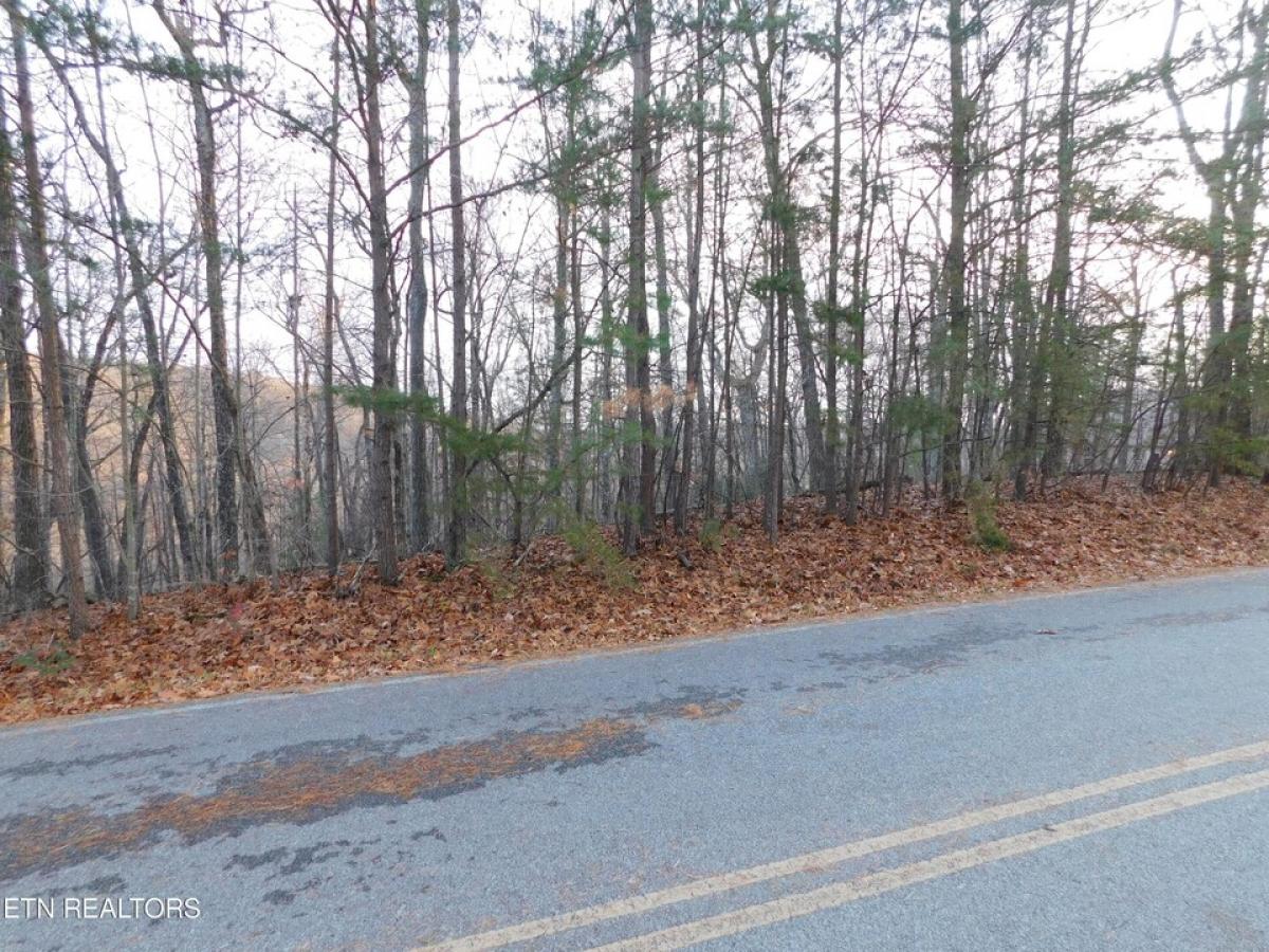 Picture of Residential Land For Sale in Fairfield Glade, Tennessee, United States