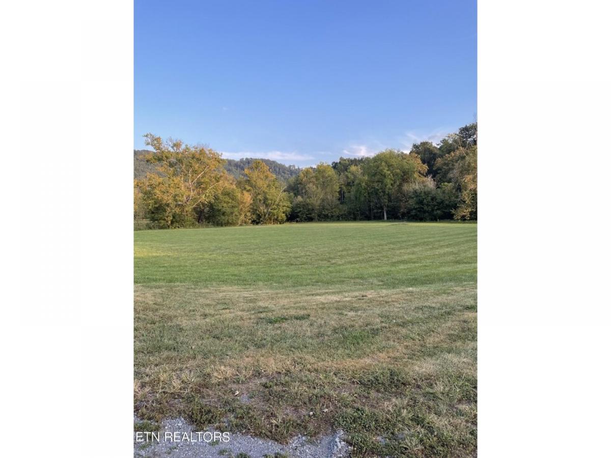 Picture of Residential Land For Sale in Rogersville, Tennessee, United States