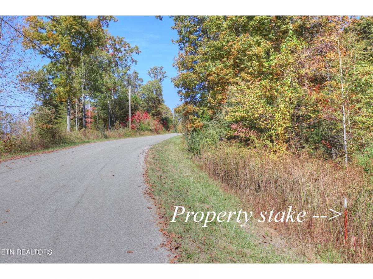 Picture of Residential Land For Sale in Speedwell, Tennessee, United States