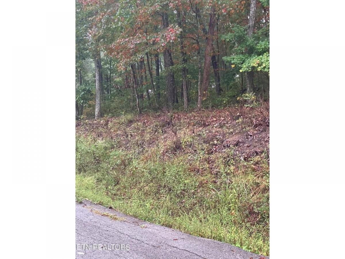 Picture of Residential Land For Sale in Fairfield Glade, Tennessee, United States