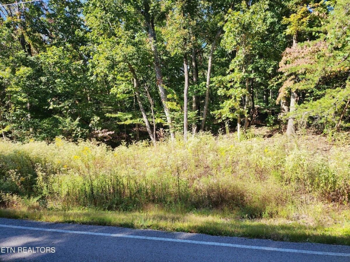 Picture of Residential Land For Sale in Fairfield Glade, Tennessee, United States