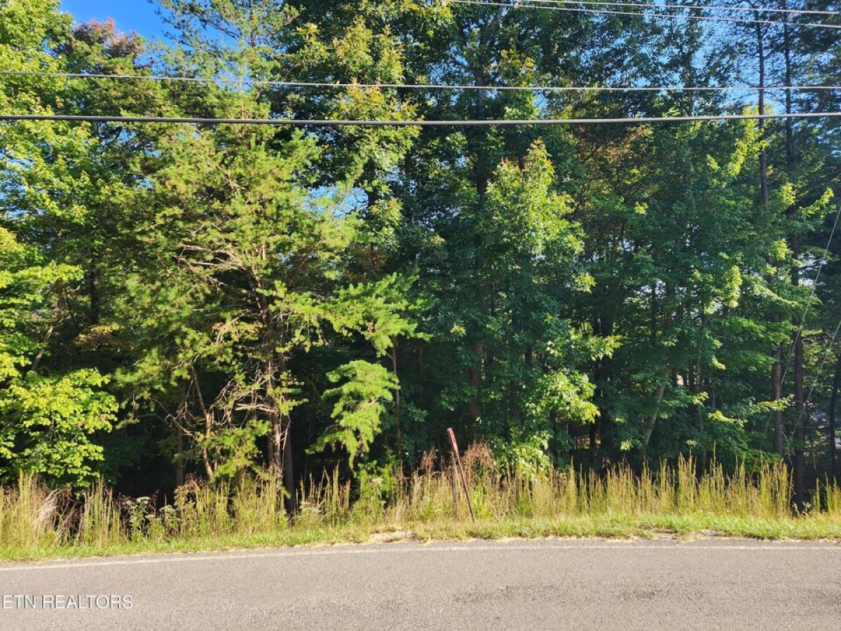 Picture of Residential Land For Sale in Fairfield Glade, Tennessee, United States