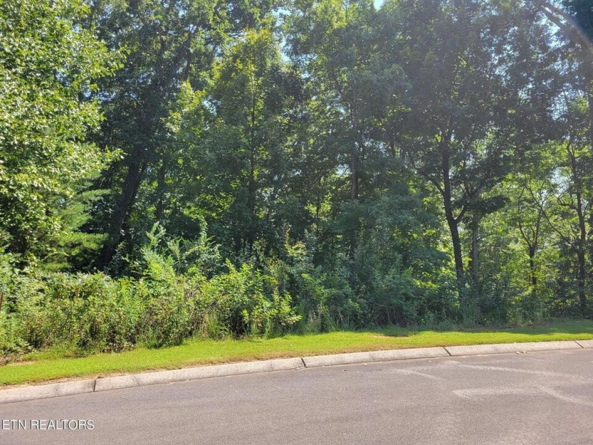 Picture of Residential Land For Sale in Madisonville, Tennessee, United States