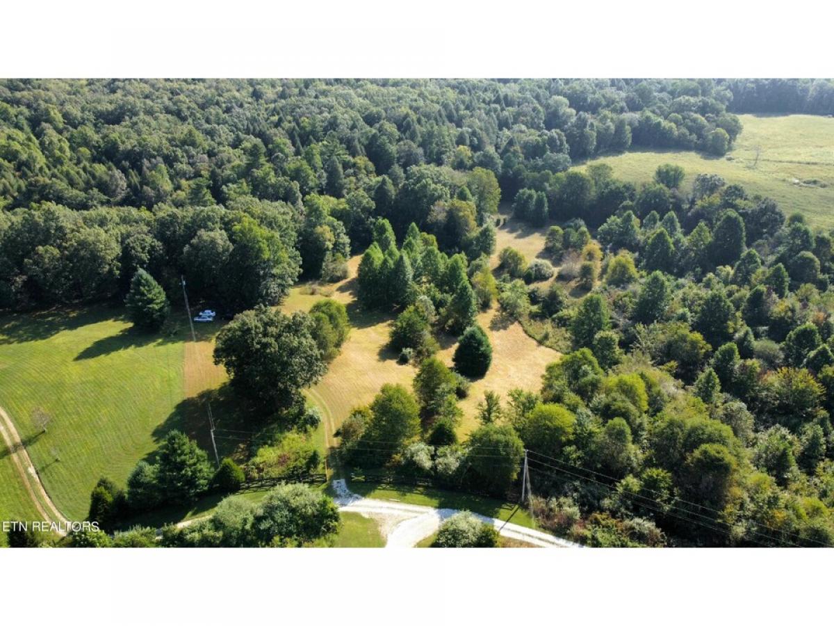 Picture of Residential Land For Sale in Robbins, Tennessee, United States