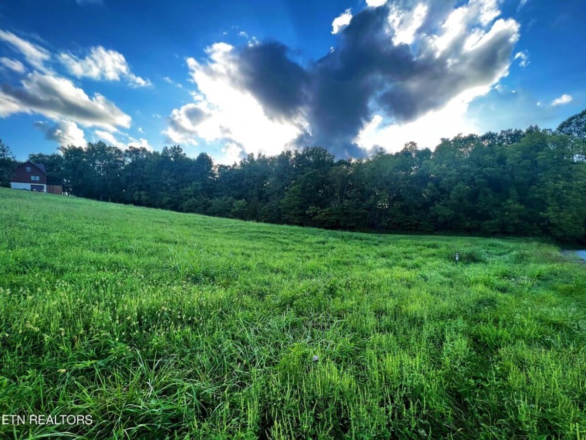 Picture of Residential Land For Sale in New Tazewell, Tennessee, United States