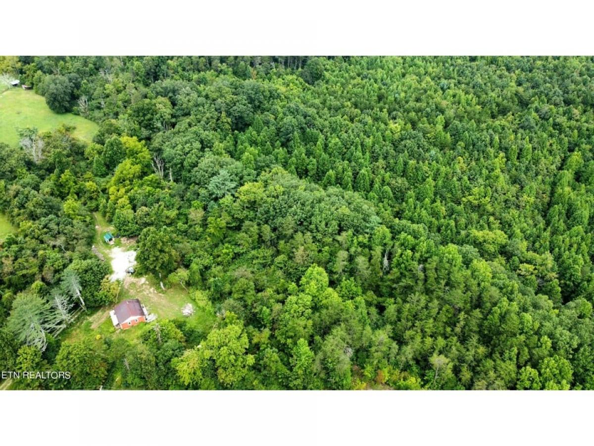 Picture of Residential Land For Sale in Rockwood, Tennessee, United States