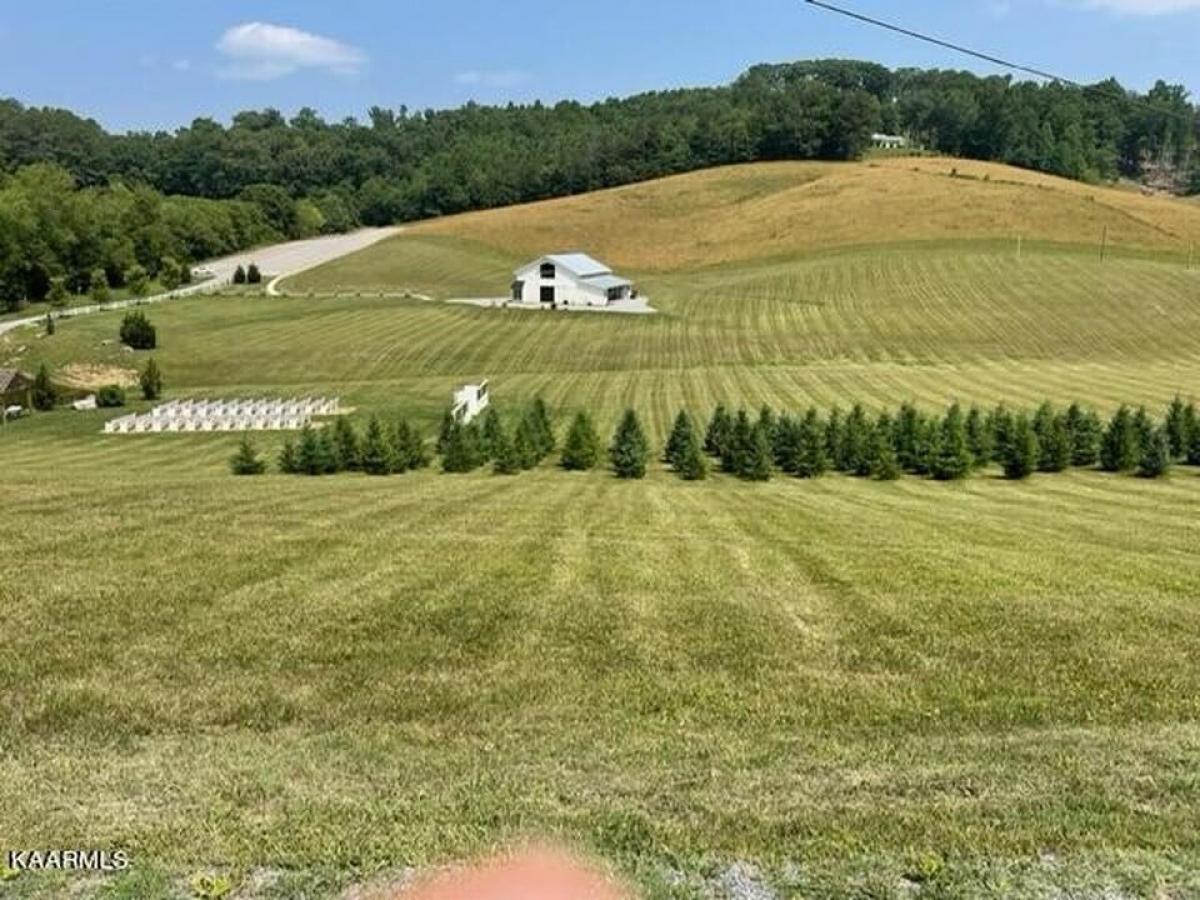 Picture of Residential Land For Sale in New Tazewell, Tennessee, United States