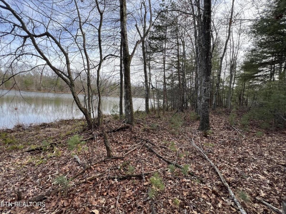 Picture of Residential Land For Sale in Deer Lodge, Tennessee, United States