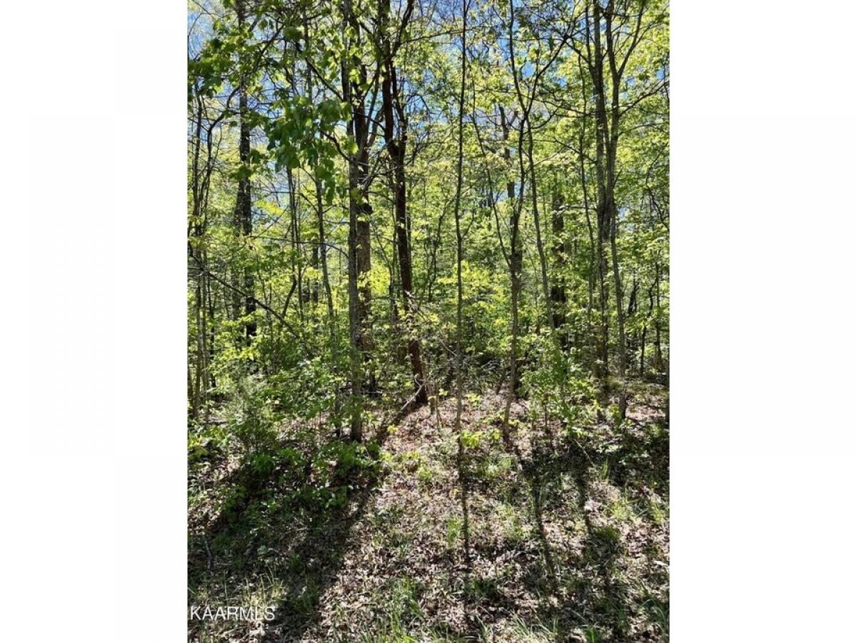 Picture of Residential Land For Rent in Crossville, Tennessee, United States