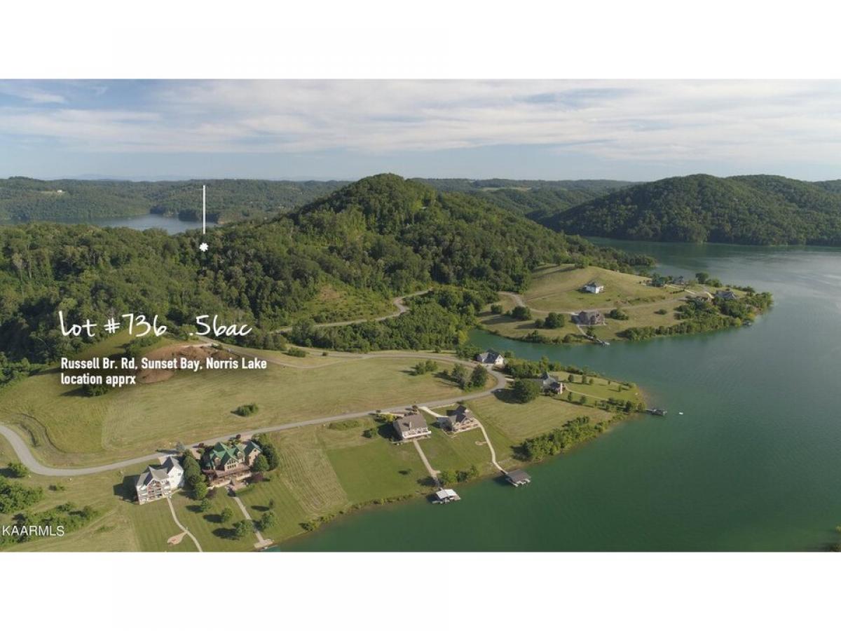 Picture of Residential Land For Sale in Sharps Chapel, Tennessee, United States