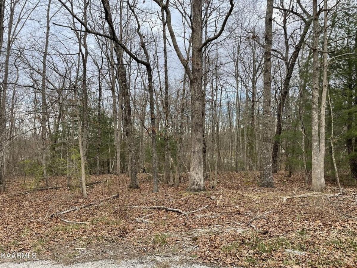 Picture of Residential Land For Rent in Crossville, Tennessee, United States