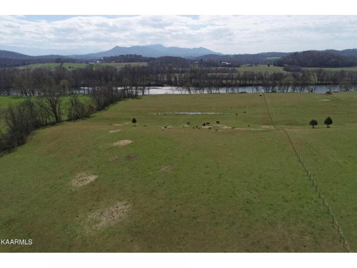 Picture of Residential Land For Sale in Newport, Tennessee, United States