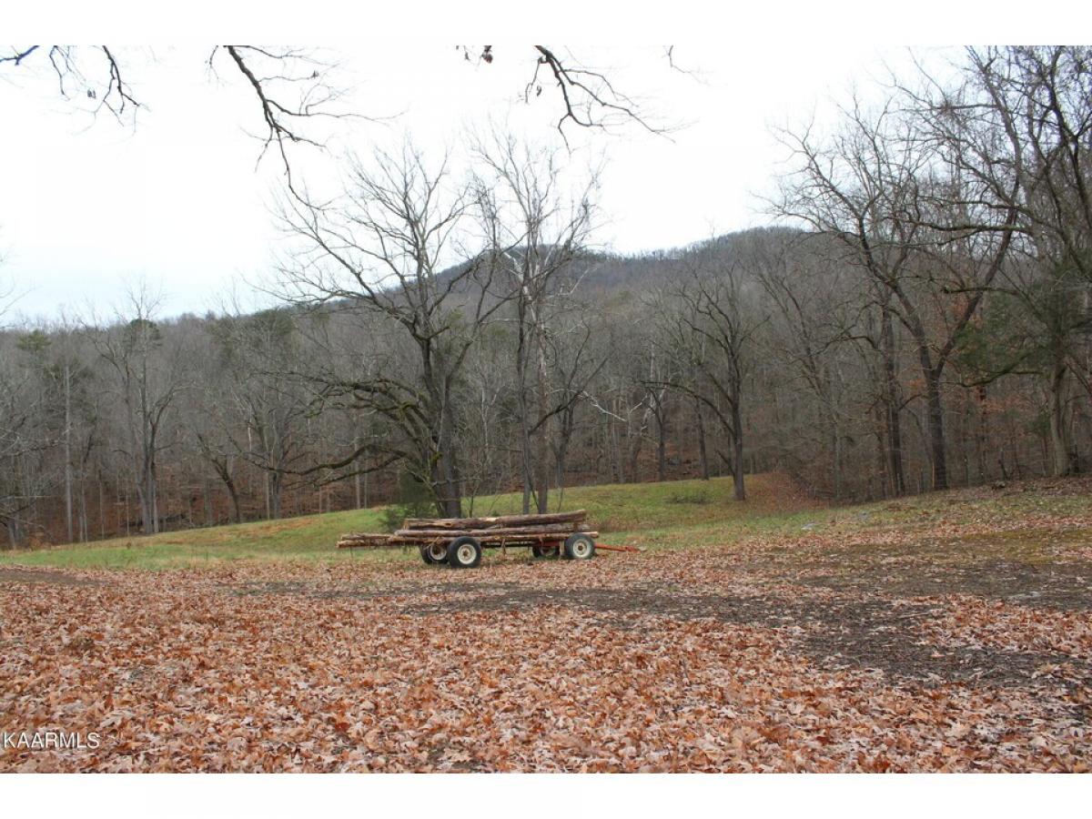 Picture of Residential Land For Sale in Pall Mall, Tennessee, United States