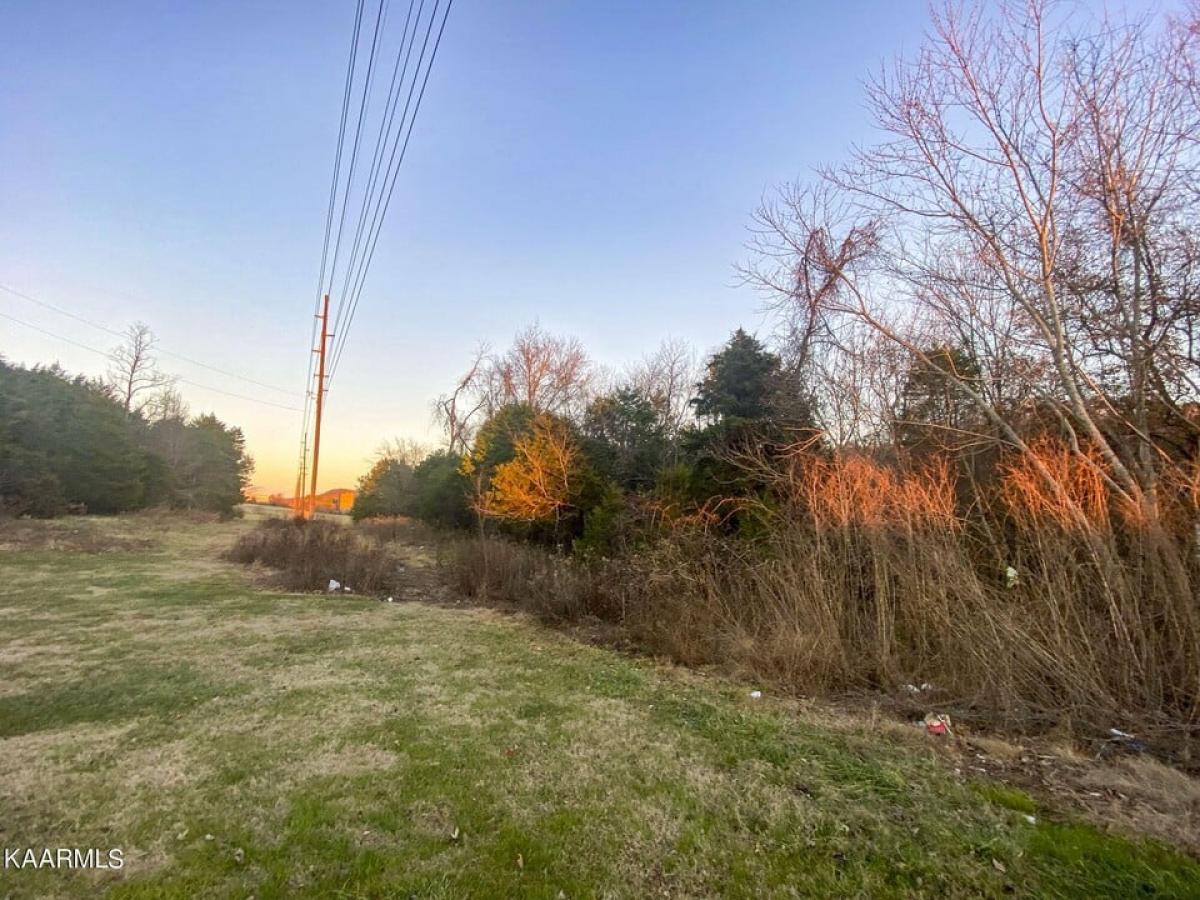 Picture of Residential Land For Sale in Rogersville, Tennessee, United States