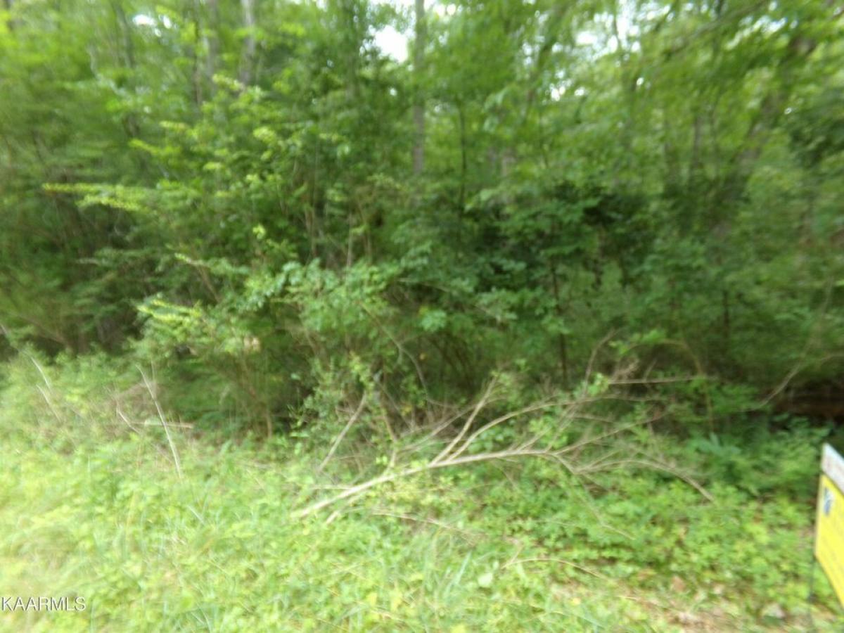 Picture of Residential Land For Rent in Crossville, Tennessee, United States