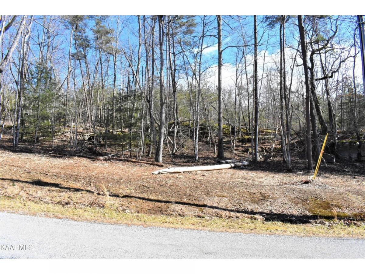 Picture of Residential Land For Sale in Fairfield Glade, Tennessee, United States