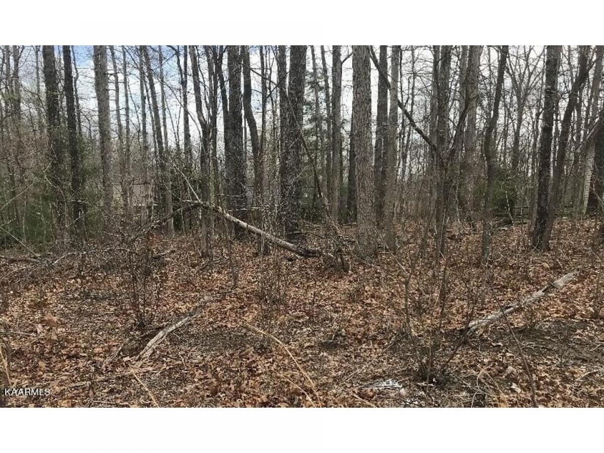 Picture of Residential Land For Sale in Fairfield Glade, Tennessee, United States