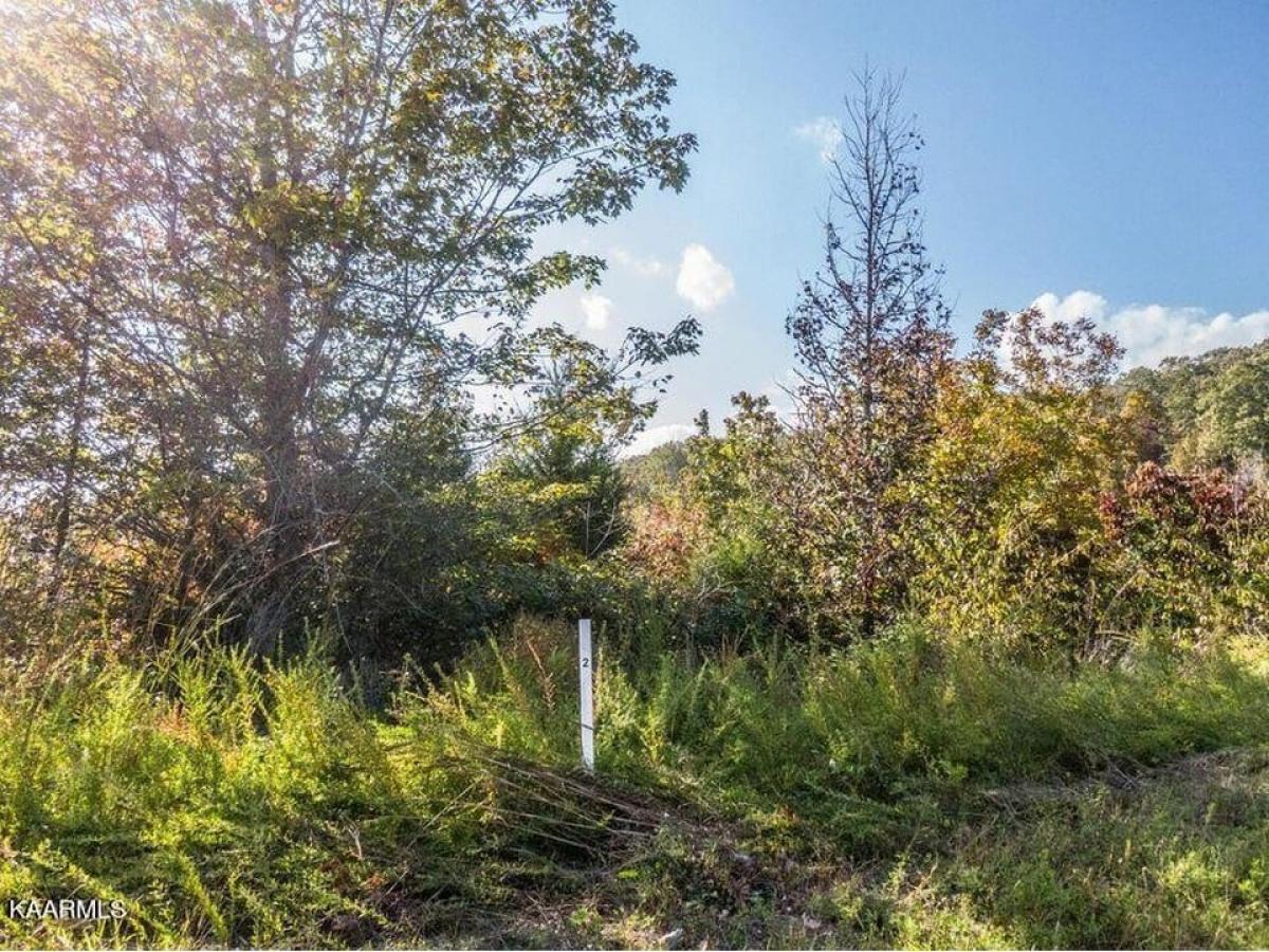 Picture of Residential Land For Sale in Rockwood, Tennessee, United States