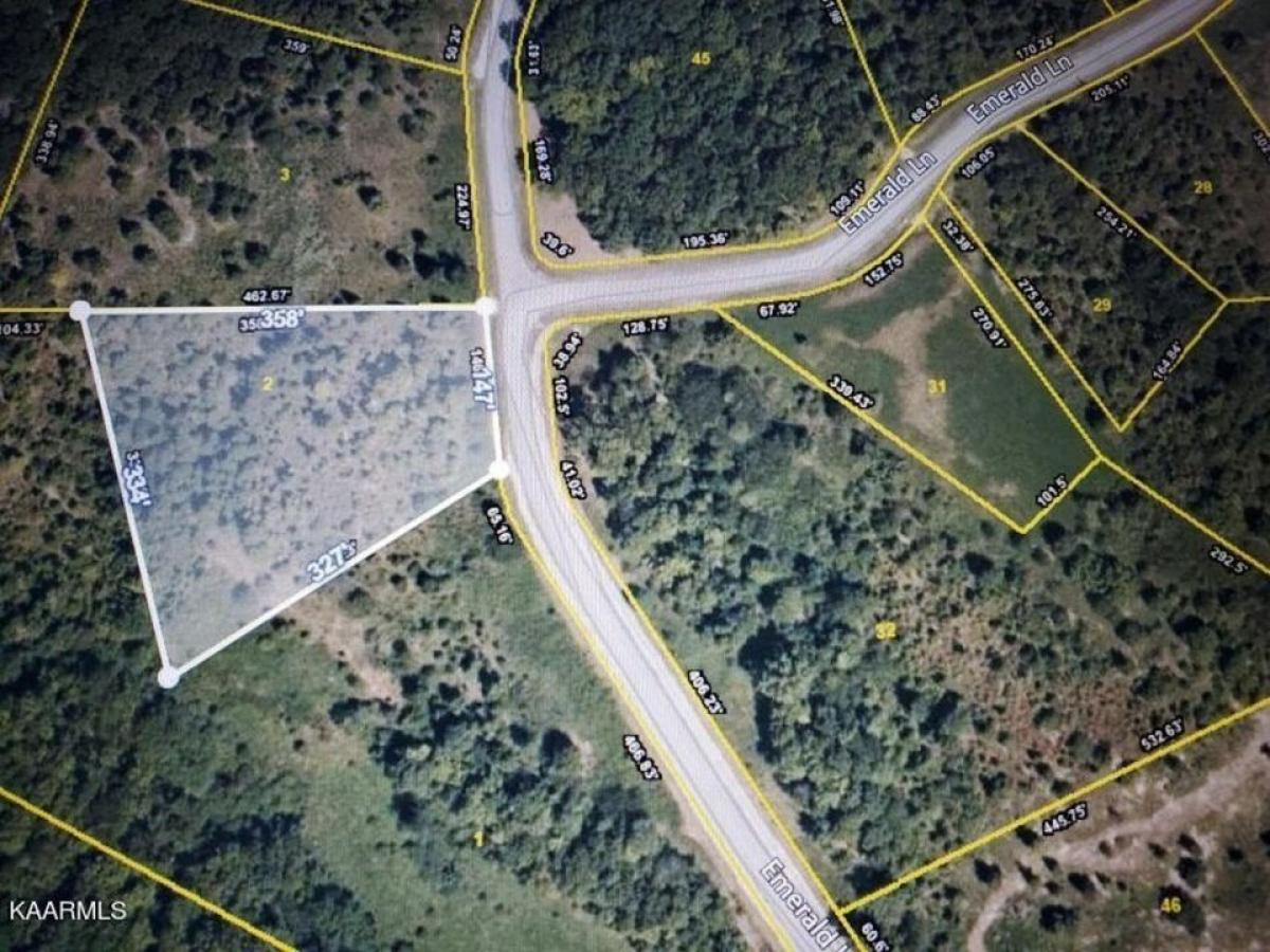 Picture of Residential Land For Sale in Rockwood, Tennessee, United States