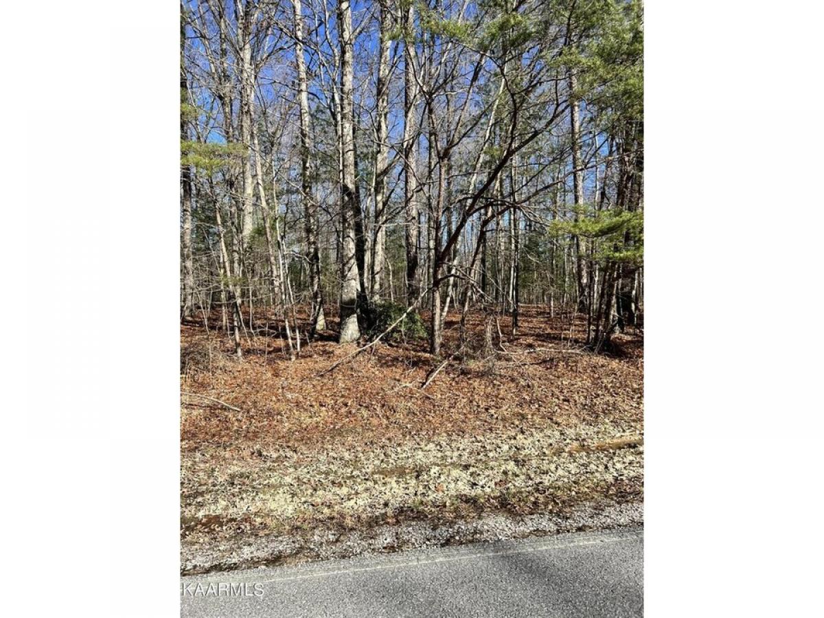 Picture of Residential Land For Rent in Crossville, Tennessee, United States