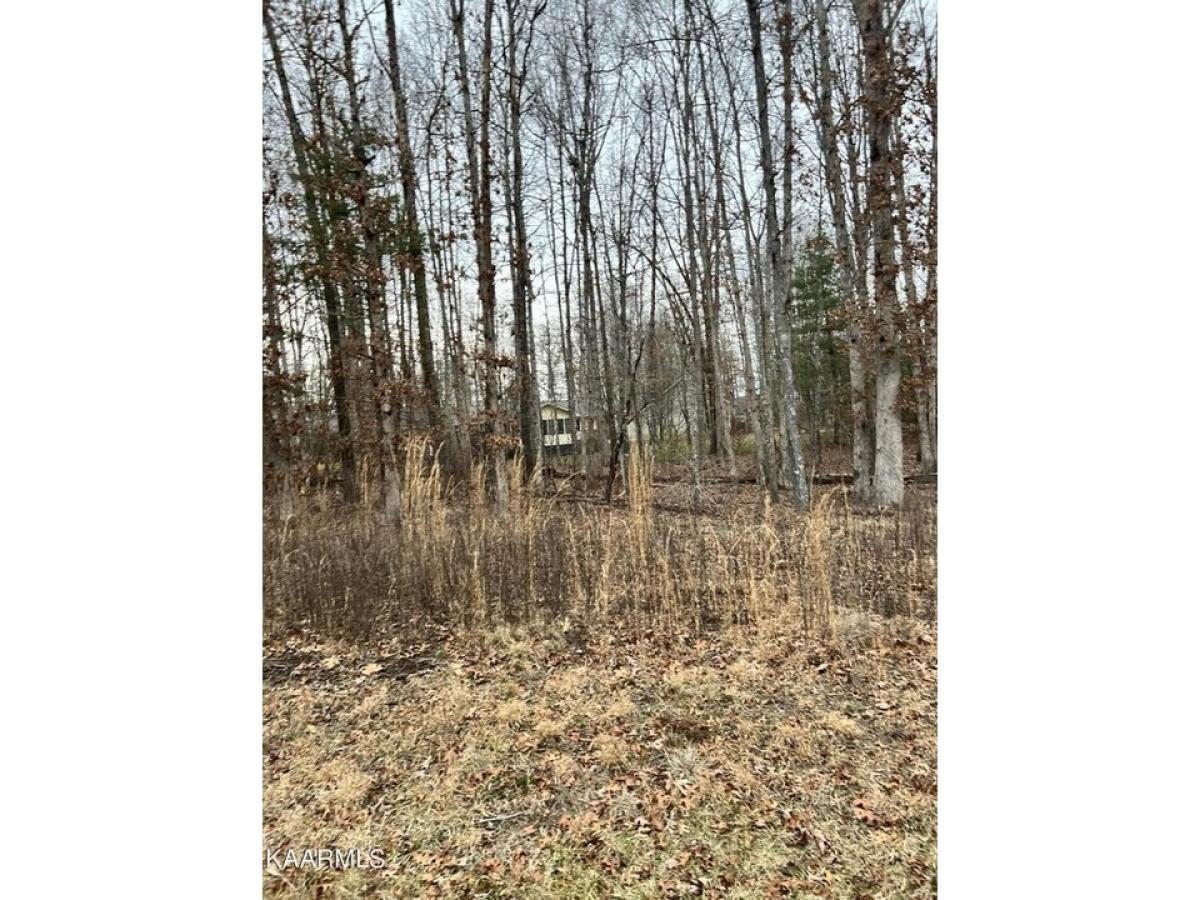 Picture of Residential Land For Rent in Crossville, Tennessee, United States