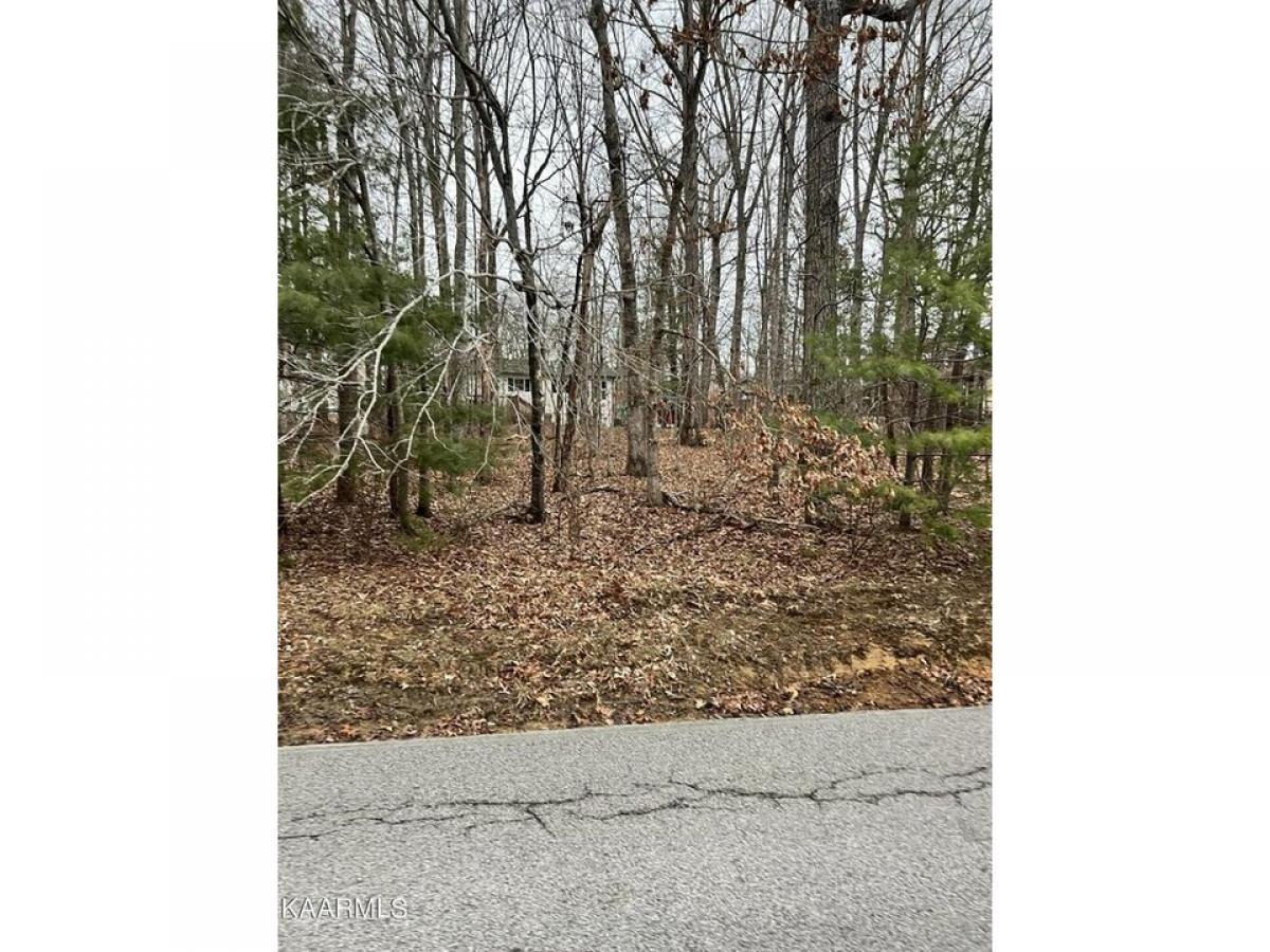 Picture of Residential Land For Rent in Crossville, Tennessee, United States