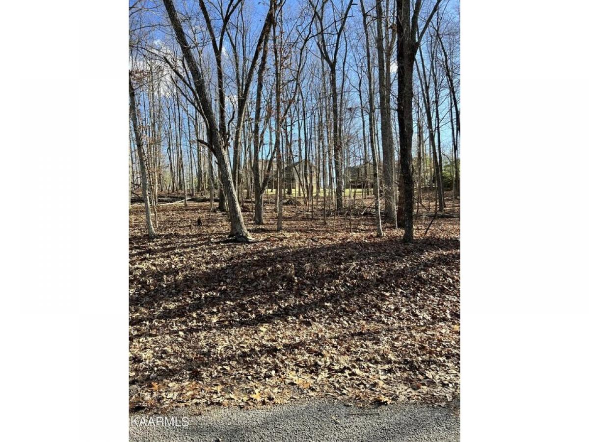 Picture of Residential Land For Rent in Crossville, Tennessee, United States