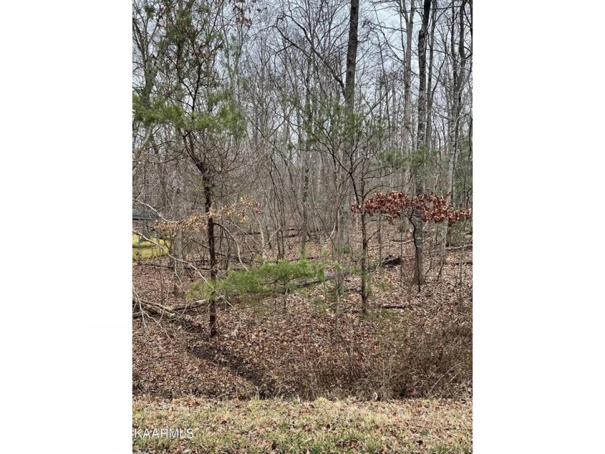 Picture of Residential Land For Rent in Crossville, Tennessee, United States