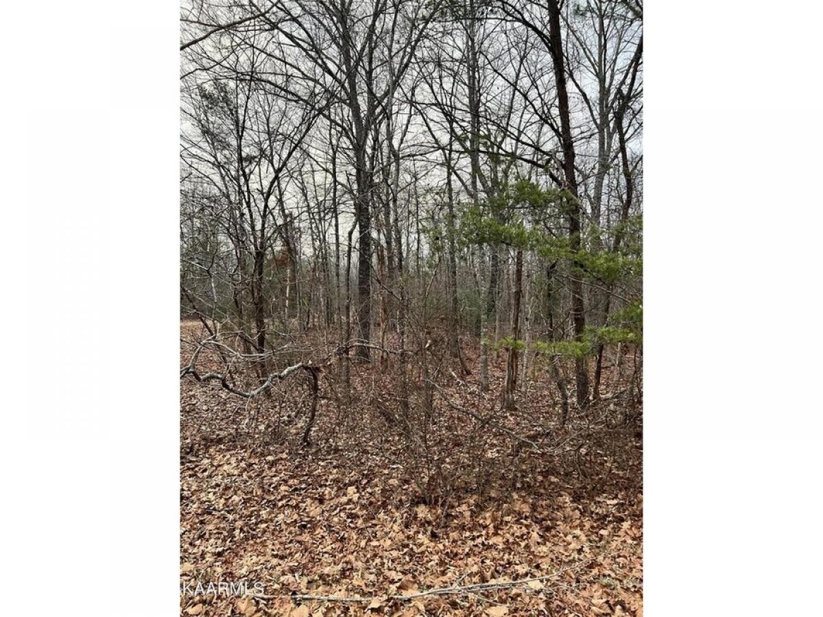 Picture of Residential Land For Rent in Crossville, Tennessee, United States